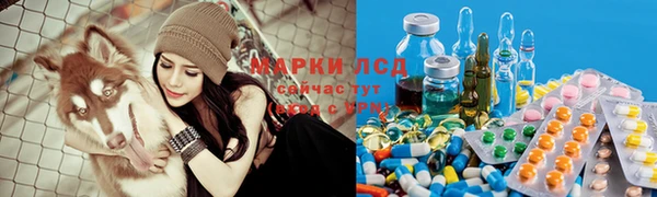 гидра Дмитровск