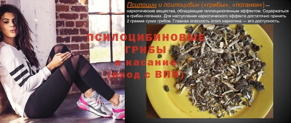 spice Горнозаводск