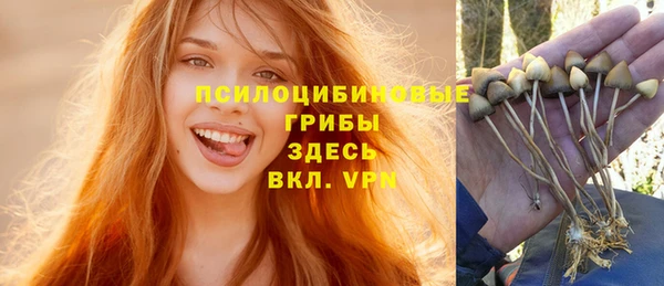 альфа пвп Гусь-Хрустальный