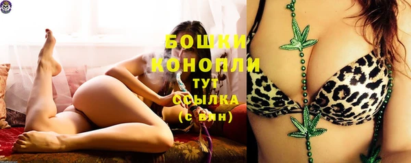 хмурый Гусиноозёрск