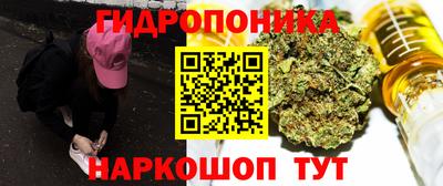 гидропоника Берёзовский