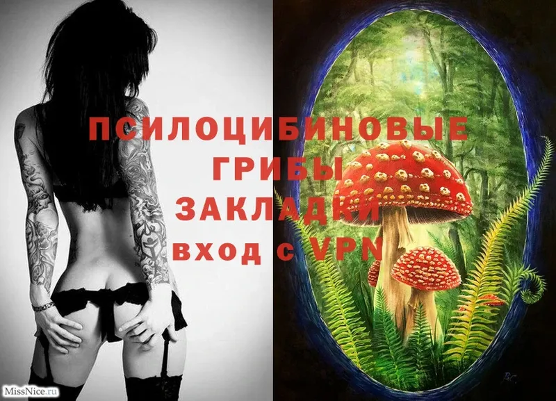 закладка  Еманжелинск  Галлюциногенные грибы MAGIC MUSHROOMS 