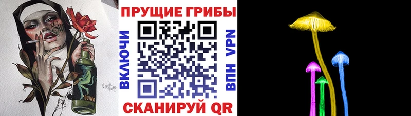 kraken зеркало  Еманжелинск  Псилоцибиновые грибы GOLDEN TEACHER 