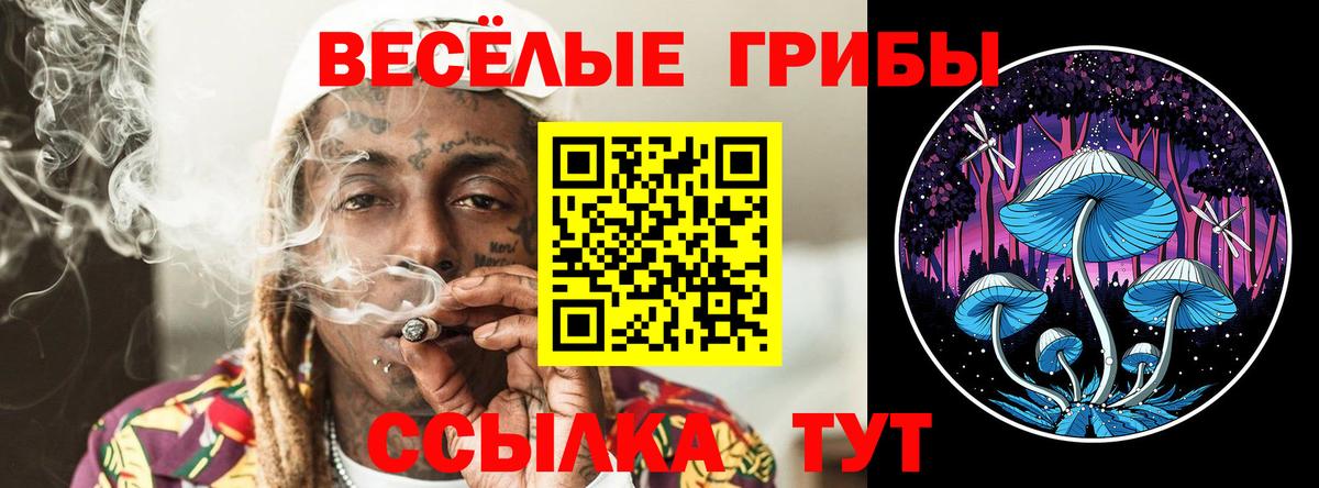 Галлюциногенные грибы Magic Shrooms  Еманжелинск 