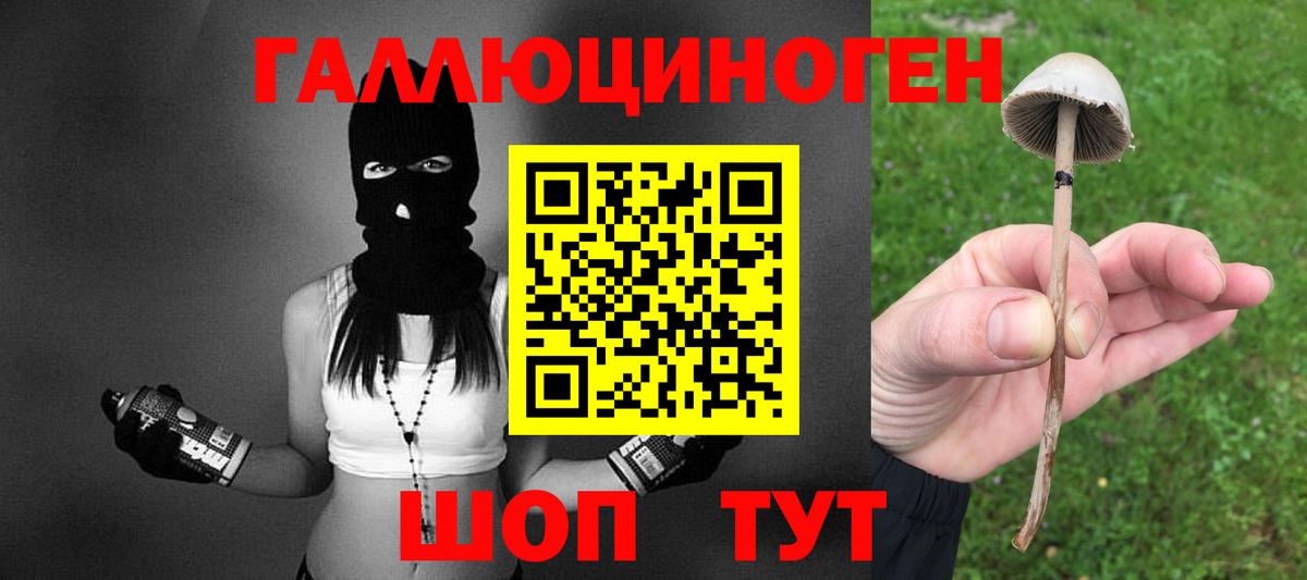 Псилоцибиновые грибы Magic Shrooms Еманжелинск